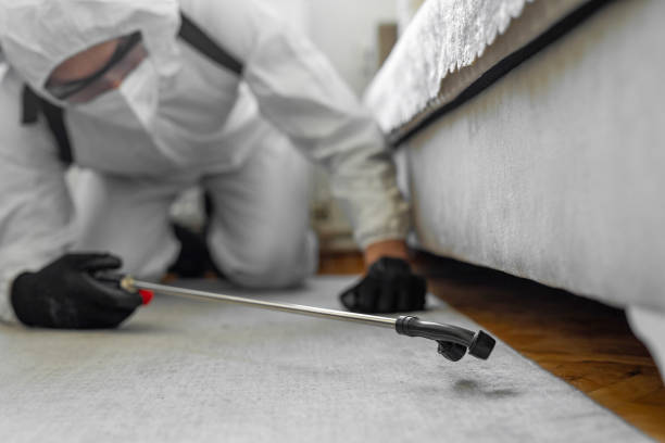 Professional Cockroach Control technician working in Wilson's Mills, NC