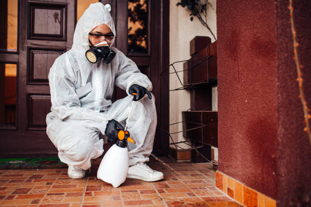 Reliable Cockroach Control contractor in Wilson's Mills, NC by Nex Pest Control