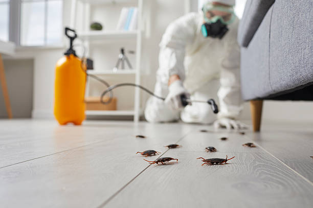Trusted Cockroach Control service in Wilson's Mills, NC - Nex Pest Control
